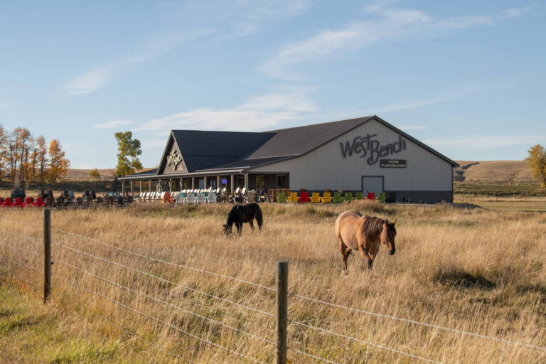 west bench home funishings store with pasture and cows in foreground